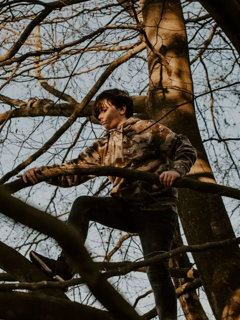 overbezorgde ouder Een jongen klimt in een boom. Ga je dit verbieden?